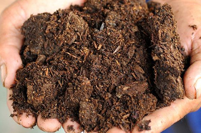土壤及沉積物檢測(cè)